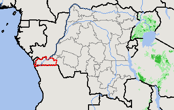 Congo (Kinshasa)