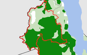 Kasungu