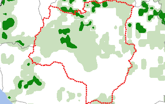 Tabora