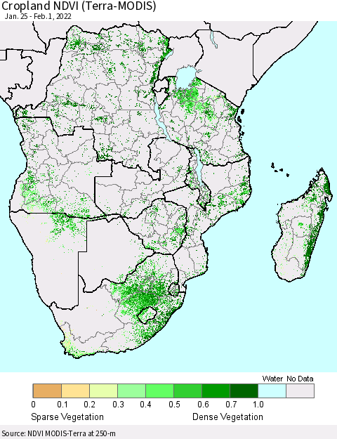 Southern Africa Cropland NDVI (Terra-MODIS) Thematic Map For 1/25/2022 - 2/1/2022