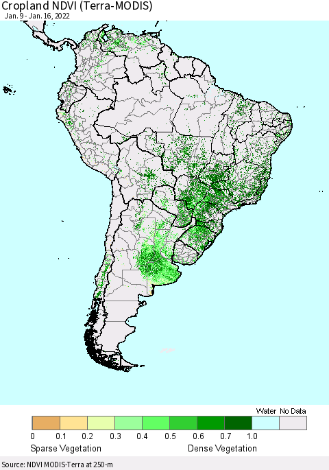 South America Cropland NDVI (Terra-MODIS) Thematic Map For 1/9/2022 - 1/16/2022