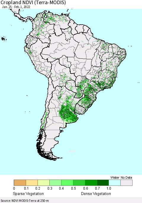 South America Cropland NDVI (Terra-MODIS) Thematic Map For 1/25/2022 - 2/1/2022