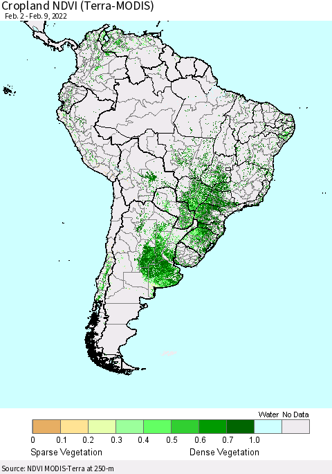 South America Cropland NDVI (Terra-MODIS) Thematic Map For 2/2/2022 - 2/9/2022