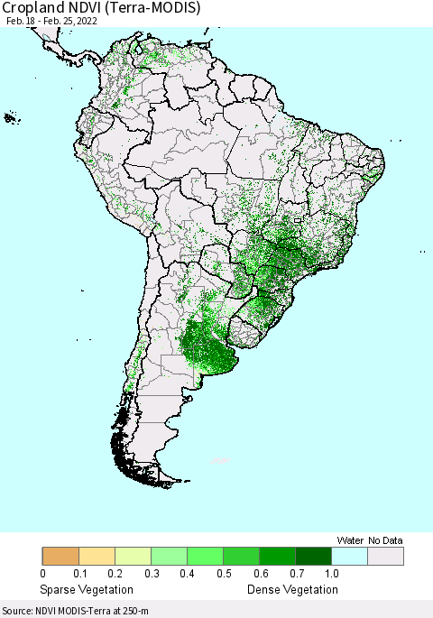 South America Cropland NDVI (Terra-MODIS) Thematic Map For 2/18/2022 - 2/25/2022