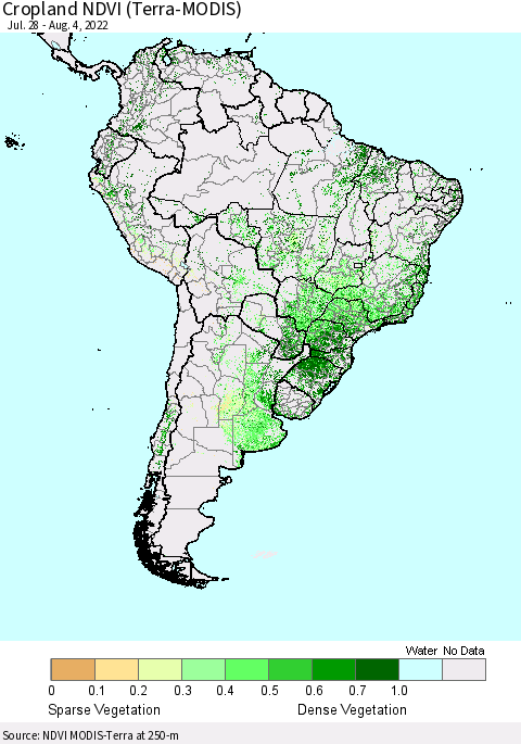 South America Cropland NDVI (Terra-MODIS) Thematic Map For 7/28/2022 - 8/4/2022