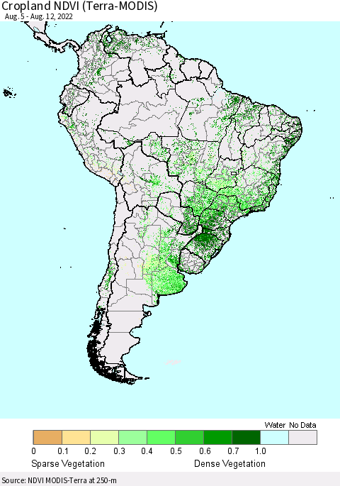 South America Cropland NDVI (Terra-MODIS) Thematic Map For 8/5/2022 - 8/12/2022