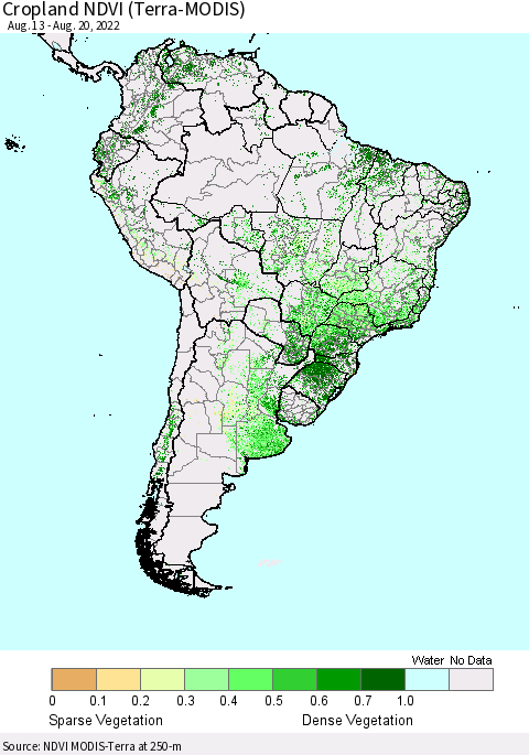 South America Cropland NDVI (Terra-MODIS) Thematic Map For 8/13/2022 - 8/20/2022