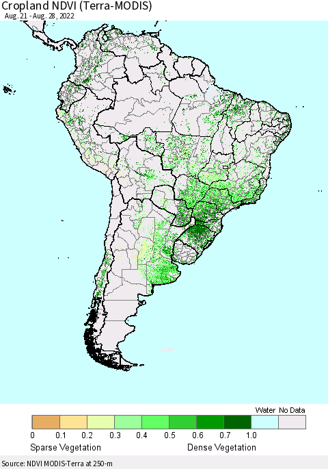 South America Cropland NDVI (Terra-MODIS) Thematic Map For 8/21/2022 - 8/28/2022
