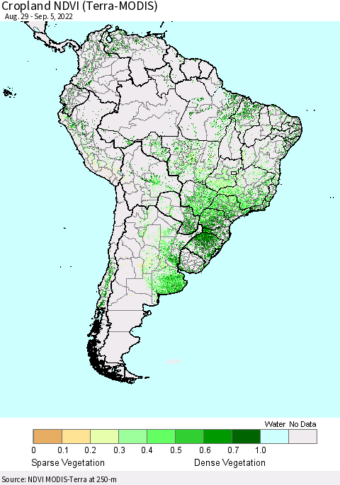 South America Cropland NDVI (Terra-MODIS) Thematic Map For 8/29/2022 - 9/5/2022