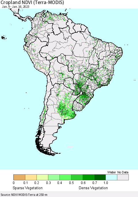 South America Cropland NDVI (Terra-MODIS) Thematic Map For 1/9/2023 - 1/16/2023