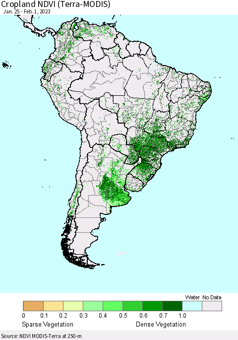 South America Cropland NDVI (Terra-MODIS) Thematic Map For 1/25/2023 - 2/1/2023