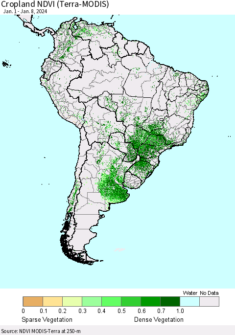 South America Cropland NDVI (Terra-MODIS) Thematic Map For 1/1/2024 - 1/8/2024