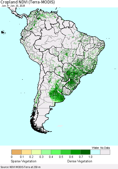South America Cropland NDVI (Terra-MODIS) Thematic Map For 1/9/2024 - 1/16/2024