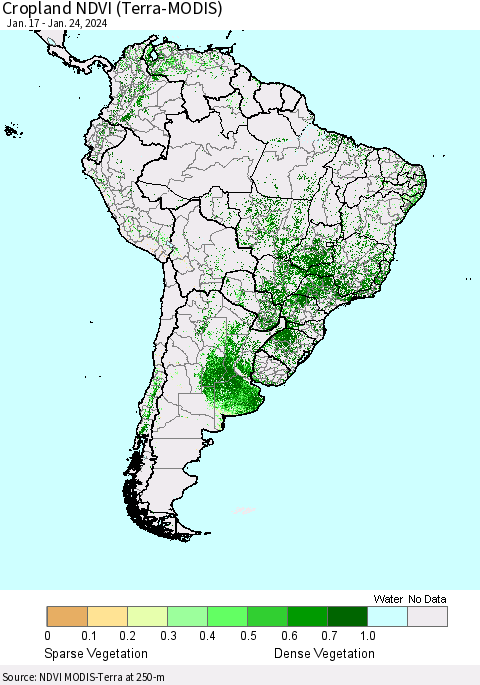 South America Cropland NDVI (Terra-MODIS) Thematic Map For 1/17/2024 - 1/24/2024