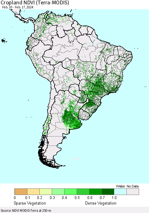 South America Cropland NDVI (Terra-MODIS) Thematic Map For 2/10/2024 - 2/17/2024