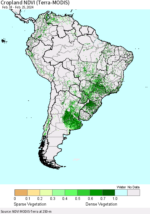South America Cropland NDVI (Terra-MODIS) Thematic Map For 2/18/2024 - 2/25/2024