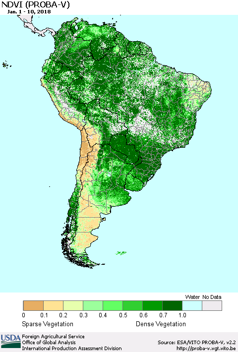 South America NDVI (PROBA-V) Thematic Map For 1/1/2018 - 1/10/2018