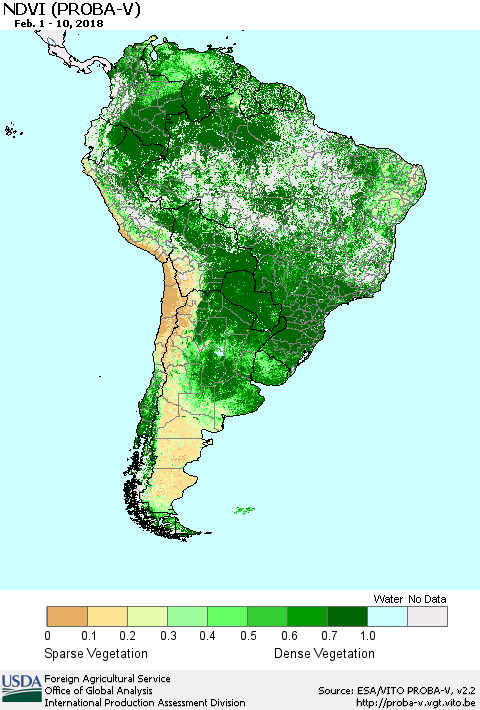 South America NDVI (PROBA-V) Thematic Map For 2/1/2018 - 2/10/2018