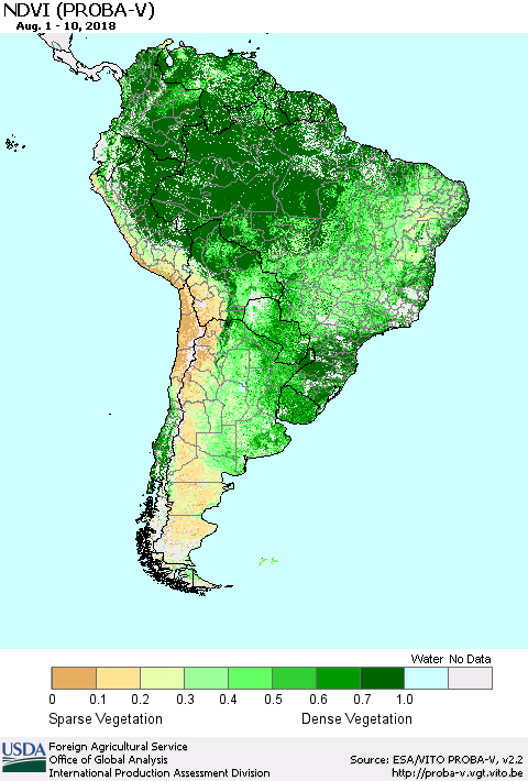South America NDVI (PROBA-V) Thematic Map For 8/1/2018 - 8/10/2018
