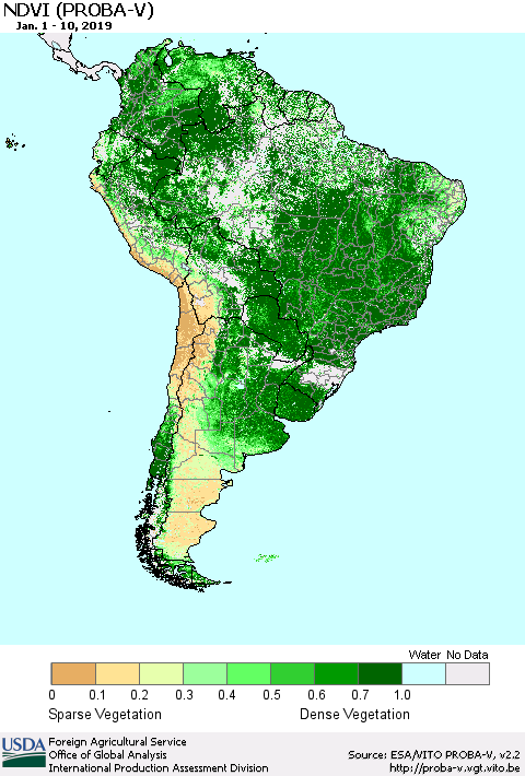 South America NDVI (PROBA-V) Thematic Map For 1/1/2019 - 1/10/2019