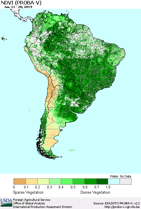 South America NDVI (PROBA-V) Thematic Map For 1/11/2019 - 1/20/2019