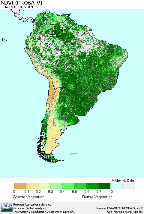 South America NDVI (PROBA-V) Thematic Map For 1/21/2019 - 1/31/2019