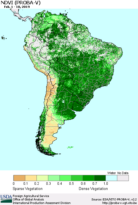 South America NDVI (PROBA-V) Thematic Map For 2/1/2019 - 2/10/2019