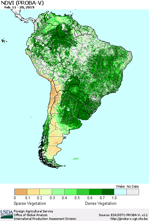 South America NDVI (PROBA-V) Thematic Map For 2/11/2019 - 2/20/2019