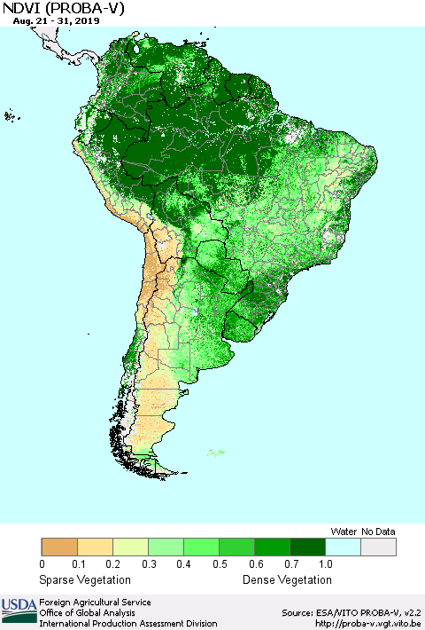 South America NDVI (PROBA-V) Thematic Map For 8/21/2019 - 8/31/2019
