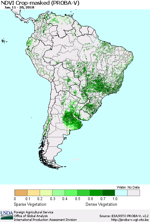 South America NDVI Crop-masked (PROBA-V) Thematic Map For 1/11/2018 - 1/20/2018