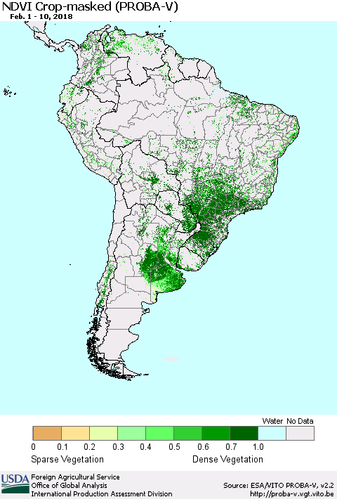 South America NDVI Crop-masked (PROBA-V) Thematic Map For 2/1/2018 - 2/10/2018