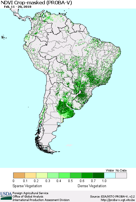 South America NDVI Crop-masked (PROBA-V) Thematic Map For 2/11/2018 - 2/20/2018