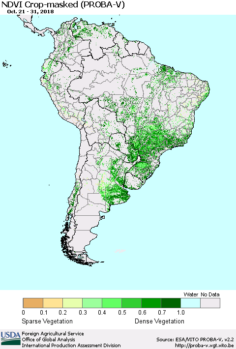 South America NDVI Crop-masked (PROBA-V) Thematic Map For 10/21/2018 - 10/31/2018