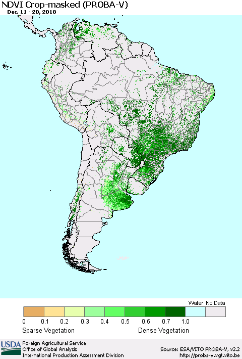 South America NDVI Crop-masked (PROBA-V) Thematic Map For 12/11/2018 - 12/20/2018
