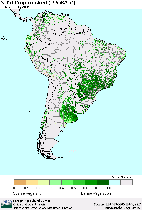South America NDVI Crop-masked (PROBA-V) Thematic Map For 1/1/2019 - 1/10/2019