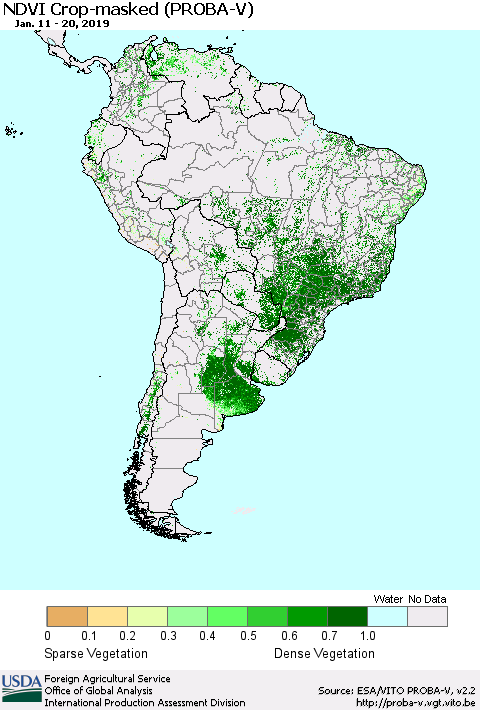 South America NDVI Crop-masked (PROBA-V) Thematic Map For 1/11/2019 - 1/20/2019