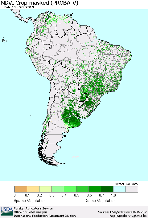 South America NDVI Crop-masked (PROBA-V) Thematic Map For 2/11/2019 - 2/20/2019