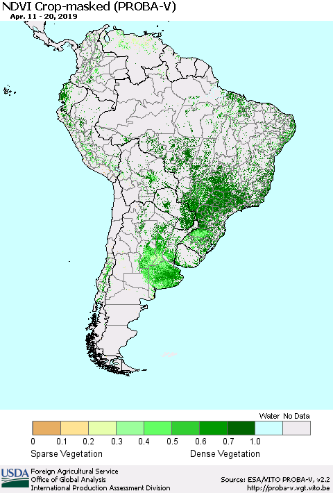 South America NDVI Crop-masked (PROBA-V) Thematic Map For 4/11/2019 - 4/20/2019