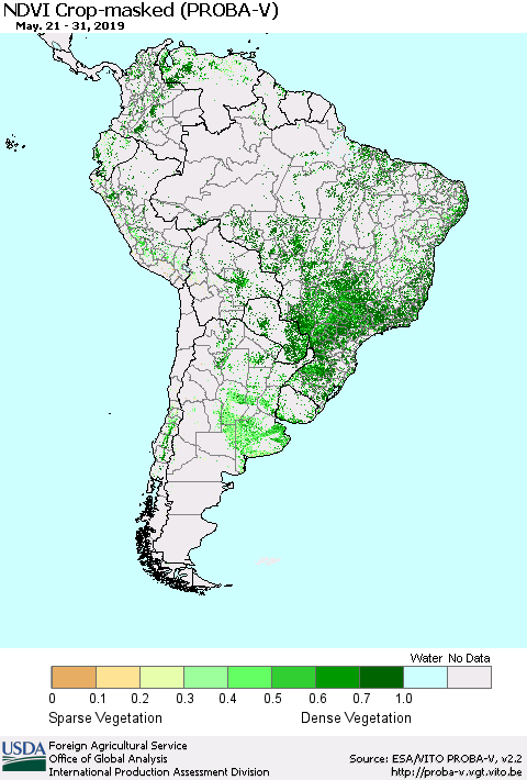 South America NDVI Crop-masked (PROBA-V) Thematic Map For 5/21/2019 - 5/31/2019
