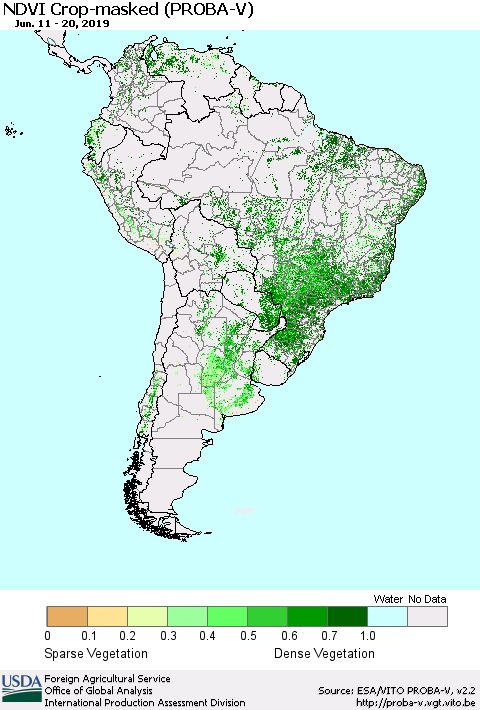 South America NDVI Crop-masked (PROBA-V) Thematic Map For 6/11/2019 - 6/20/2019