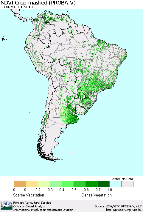 South America NDVI Crop-masked (PROBA-V) Thematic Map For 10/21/2019 - 10/31/2019