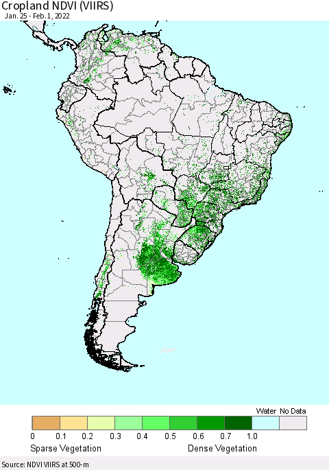 South America Cropland NDVI (VIIRS) Thematic Map For 1/25/2022 - 2/1/2022