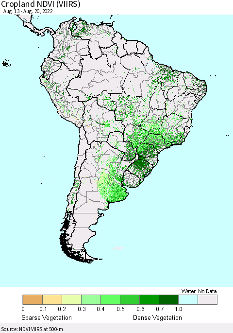 South America Cropland NDVI (VIIRS) Thematic Map For 8/13/2022 - 8/20/2022
