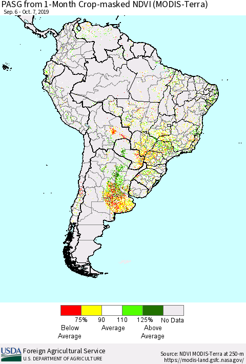 South America PASG from 1-Month Cropland NDVI (Terra-MODIS) Thematic Map For 10/1/2019 - 10/10/2019