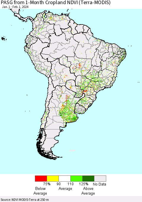 South America PASG from 1-Month Cropland NDVI (Terra-MODIS) Thematic Map For 1/25/2024 - 2/1/2024