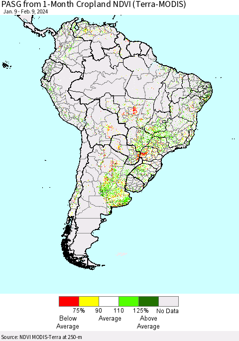 South America PASG from 1-Month Cropland NDVI (Terra-MODIS) Thematic Map For 2/2/2024 - 2/9/2024
