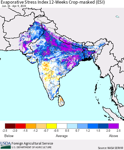 Southern Asia Evaporative Stress Index (ESI), 12-Weeks over Croplands Thematic Map For 4/8/2019 - 4/14/2019