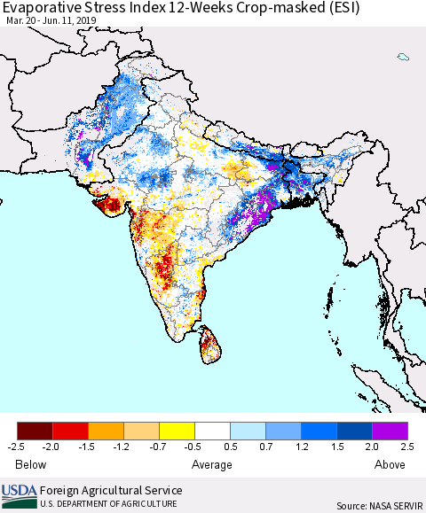 Southern Asia Evaporative Stress Index (ESI), 12-Weeks over Croplands Thematic Map For 6/10/2019 - 6/16/2019