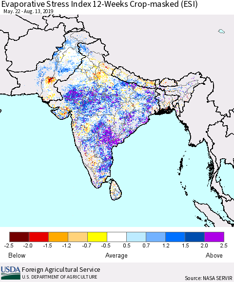 Southern Asia Evaporative Stress Index (ESI), 12-Weeks over Croplands Thematic Map For 8/12/2019 - 8/18/2019