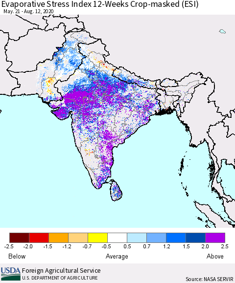 Southern Asia Evaporative Stress Index (ESI), 12-Weeks over Croplands Thematic Map For 8/10/2020 - 8/16/2020